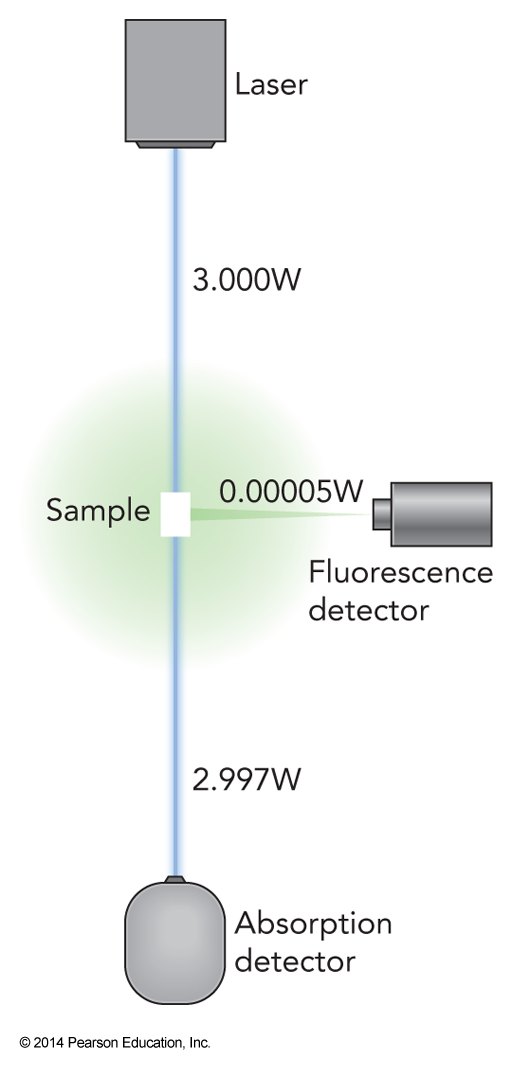Spectroscopy sample with one detector set in the beam to measure absorption and another detector at a right angle to the beam to measure fluorescence.